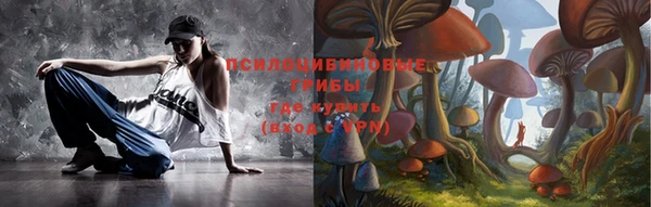индика Михайловск