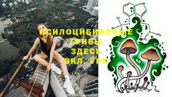 индика Михайловск