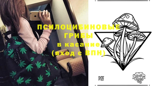 МДПВ Надым