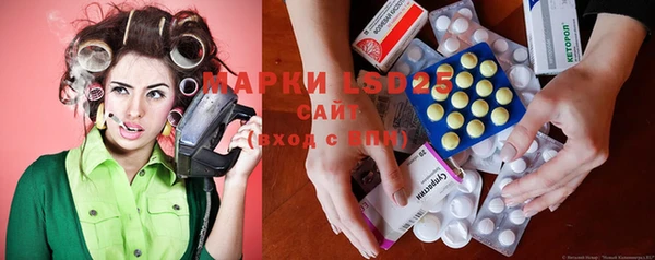 индика Михайловск