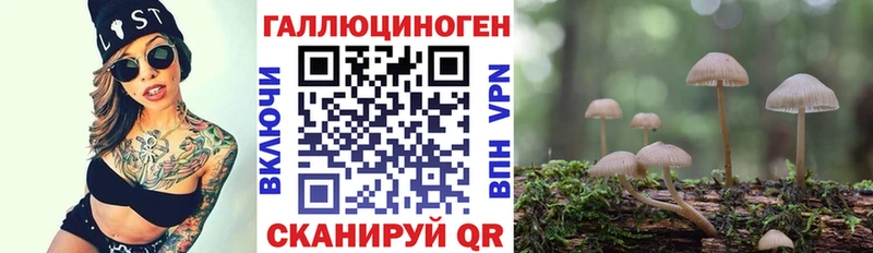 Галлюциногенные грибы Psilocybe  гидра ССЫЛКА  Тверь 