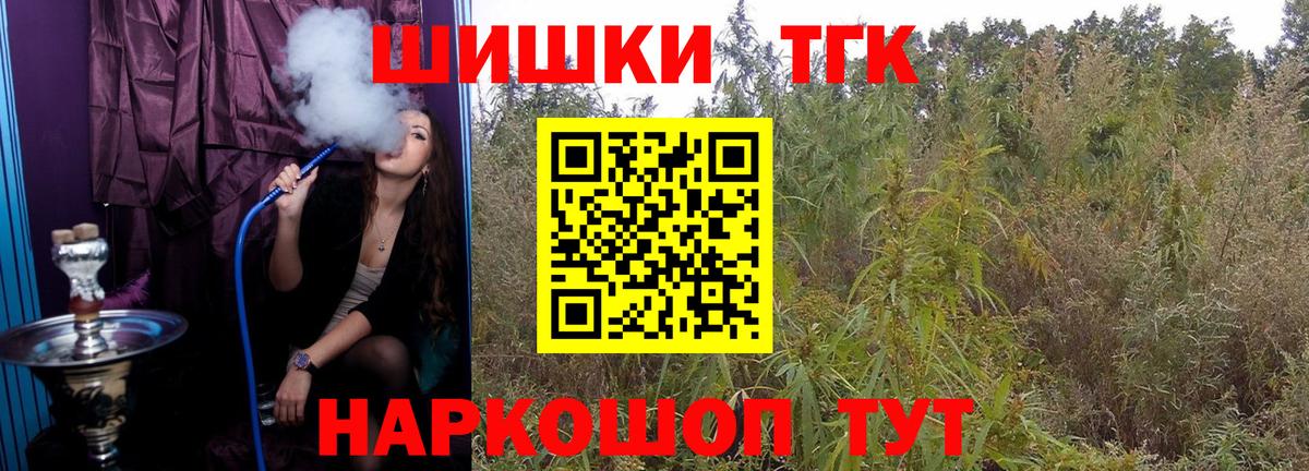 Каннабис индика Тверь